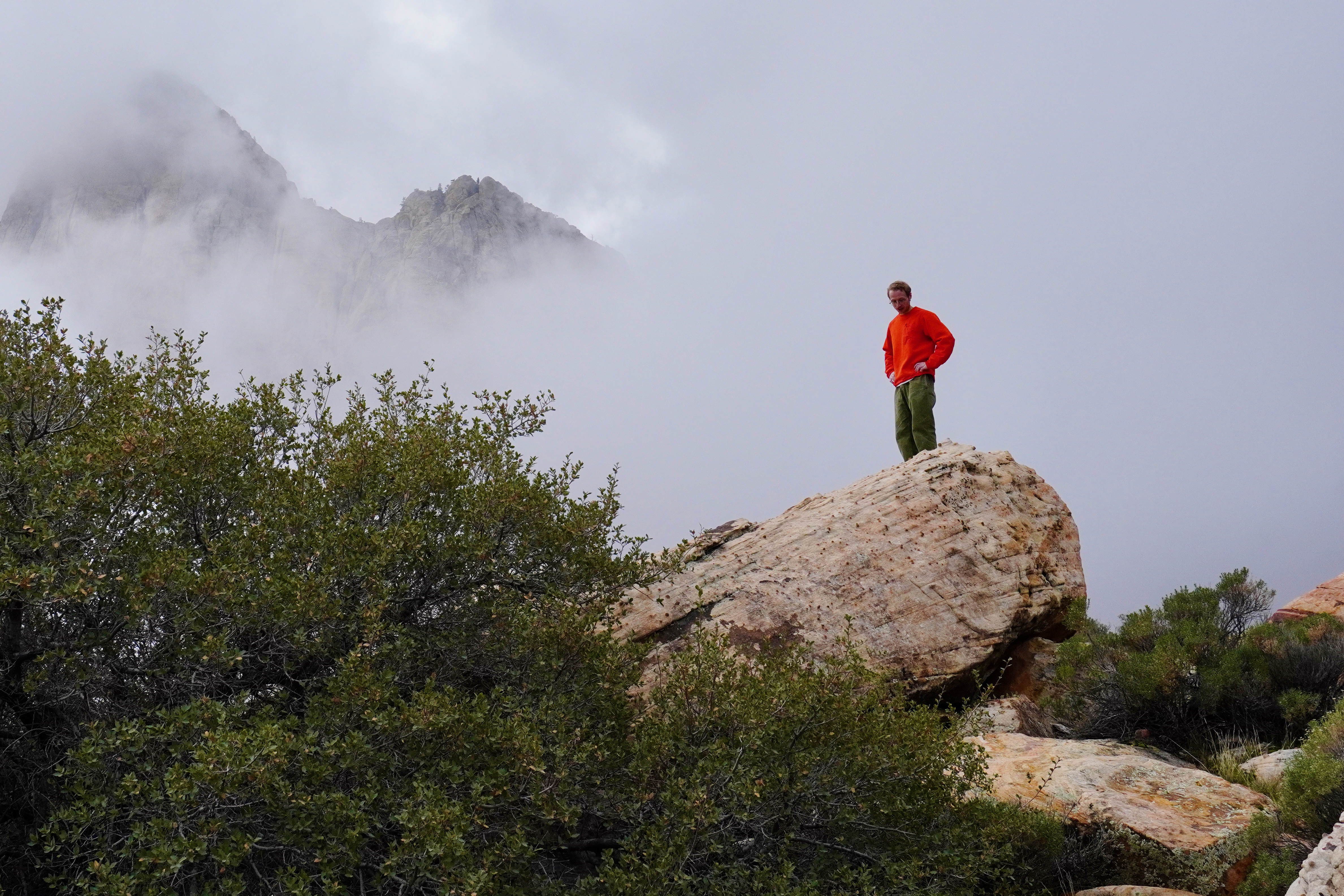 Foggy Day at Oak Creek